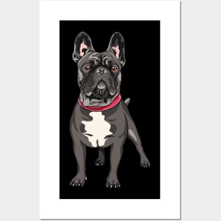 Black French Bulldog Posters and Art